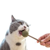 고양이 마따따비 캣닢 막대사탕