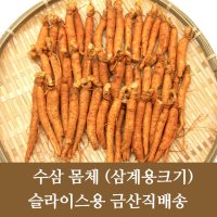 금산 수삼 인삼 몸통 몸체 동가리 파삼 부러진삼 슬라이스용 잔뿌리없는 500g/750g 행복한삼