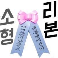 인간화환 소형리본 코사지 미니화분 선물용리본