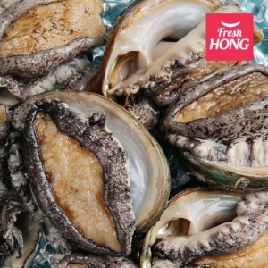 완도전복 활전복 특가전 꼬마전복부터 (6-60미) 1kg 전복선물세트