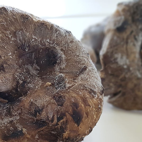 대덕종합무역 자연산 능이버섯 냉동 1kg / 건조 100g [대덕능이송이]
