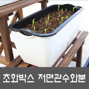 수경재배화분 최저가 가성비상품