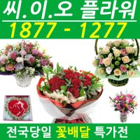 부산꽃바구니 꽃다발 꽃과케이크 특별한 생일 출산 기념일 이벤트 축하 꽃배달 꽃집ceo1z76