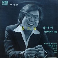 조영남 LP - (삽다리, 잊어야 해) 중고 LP 음반 레코드 엘피 올드뉴 EX+ / EX , 31109