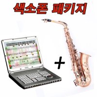 머큐리 알토색소폰 + Aepel 그루비반주기 가요+찬송가