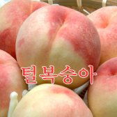 [가락24]하우스 털복숭아(백도황도)2kg(8-10과)/솔빛