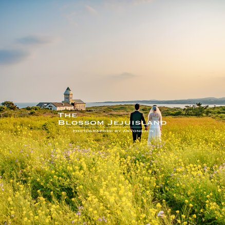 제주스냅 1시간 사진촬영 전체색감보정 웨딩 가족 허니문 만삭 데이트 리마인드 액자 앨범