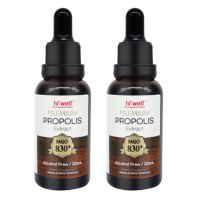 뉴질랜드 하이웰 프로폴리스 Propolis 스포이드형 팅쳐 30ml 2병