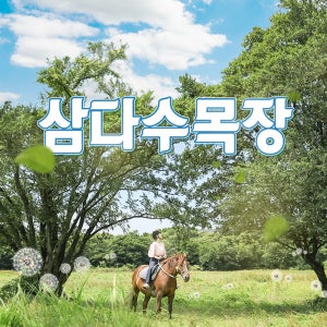 제주 삼다수 목장 승마 / 제주도 이색적인 체험 레저 힐링 관광지