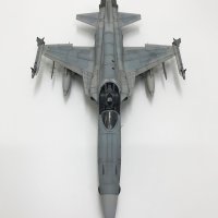 ROKAF F-5E 제공호 [도색완성품, 1/48]