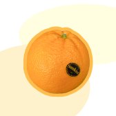 과일통통 퓨어스펙 네이블 고당도 블랙라벨 오렌지 24개 (4kg내외)