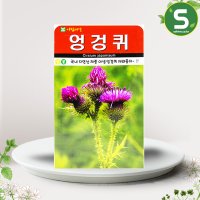 엉겅퀴씨앗 100립 꽃씨앗 약초 산약초 엉겅퀴 민속씨