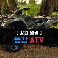 동강ATV 이용권(영월ATV/사륜모터바이크)