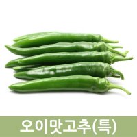 오이맛고추(특) 10kg 두리반농산