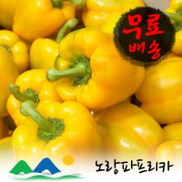 노랑파프리카(상) 5kg 신선농장 국내산 파프리카