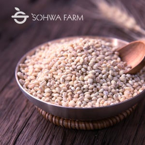 2025년 국산 햇 찰보리쌀 2kg 5kg 보리 보리쌀