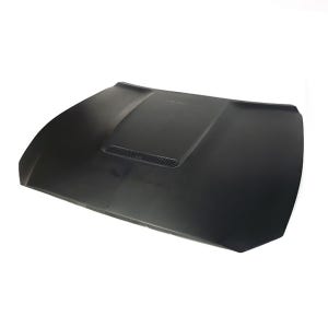 포드(FORD) 머스탱 GT 350 룩 본넷