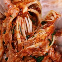 [전남옥과 맛있는김치] 전라도 김장김치 포기배추김치 2kg