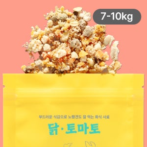 어니스트밀 강아지 화식 7-10kg 중형견 체중 맞춤, 닭 토마토 280g 화식