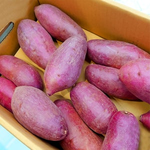 꿀고구마 고당도 애플구마 2kg 3kg 5kg 해남 세척 해나미