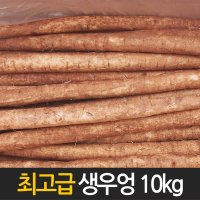 국내산 수입산 특품 생우엉 10kg 4kg내외