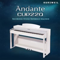 영창 Andante CUP220