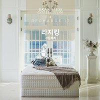 [브랜드리스][라지킹-주문제작] 리차지17 - 하이퍼 유로탑 프리미엄 매트리스