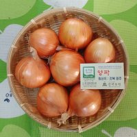 유기농 햇 양파 4kg 2023년 산