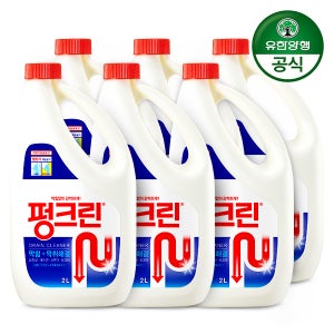 [N배송] 유한락스 배수관 막힘 악취해결 펑크린 2L, 6개(1박스)