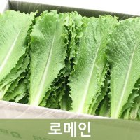 국산 로메인 상추 1kg, 2kg 내외 샐러드 쌈채소 잎로메인 무료배송