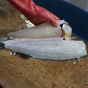 삼천포 해녀횟집 광어모듬회 2~4인분