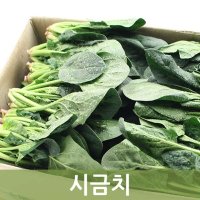 시금치 4kg 1박스 두리반농산