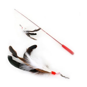 펫모닝 플라잉캣 숫닭 고양이 낚싯대