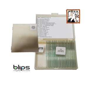 BLIPS 샘플슬라이드 식물 20 스마트폰현미경렌즈 microscope lenz