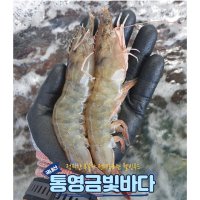 국산 흰다리새우 1kg 대하 왕새우 활새우 제철