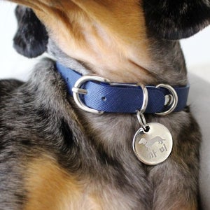 아미펫 사피아노 가죽 목줄 이름표 각인 S size