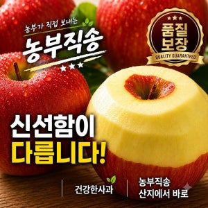 [농부직송 경남거창] 홍로햇사과 3kg/5kg 간식용/선물세트 단단 아삭 달콤