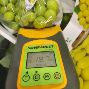 고당도 샤인머스켓 2kg 망고포도 아이스박스포장