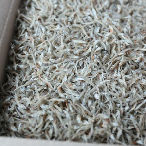 맛있는 남해안완도 잔멸치 새래기1kg