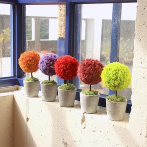 스칸디아모스 빈티지 시멘트 화분 실내공기정화 미세먼지먹는 식물 천연이끼 집들이 선물