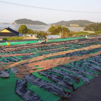 완도 다시마 200g 육수용 국물용