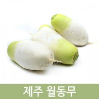 제주 월동무(특)9kg내외 두리반농산