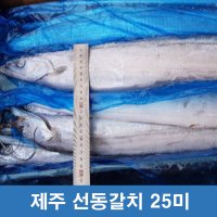 제주 선동갈치 1상자 10kg 25마리 제주도 산지직송 제주갈치 명절 설선물