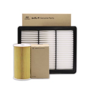 더뉴카니발(가솔린) 순정 엔진오일필터+에어필터 3CKBO-A9100