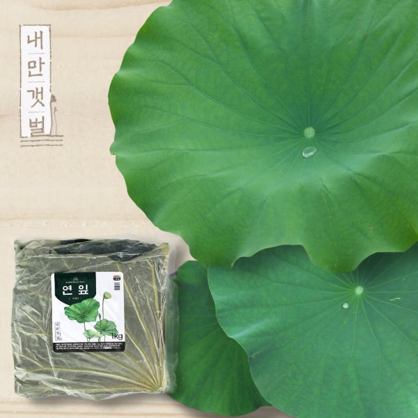 연잎 1kg 2kg 무농약 연잎밥용 오리수육용 산지직송