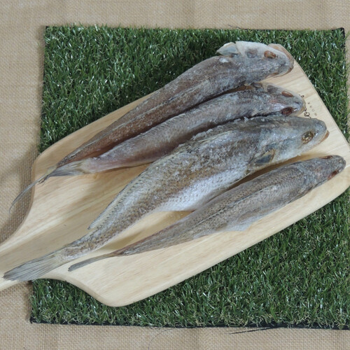 삼천포 용궁수산시장 반건조 참조기 민어조기 조기