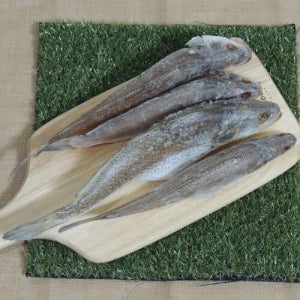 삼천포 용궁수산시장 반건조 참조기 민어조기 조기