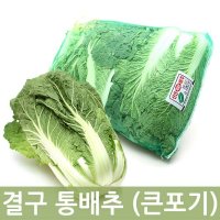 큰포기배추10kg좌우 3포기