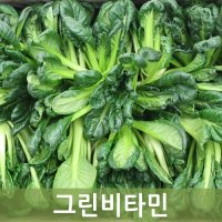 그린비타민 2kg 1박스 비타민 특수채소 두리반농산