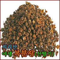 복분자(산딸기)/청정지역 지리산야생 복분자 건조 150g